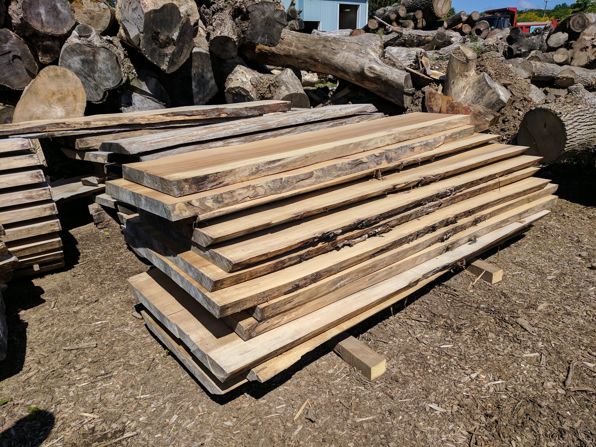 Where to Find Wood Slabs for Sale in Buffalo, NY | Woodsman Design Studio